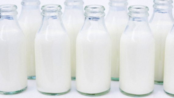 Cotrisel/CCGL bonificam produtores de leite na próxima sexta-feira