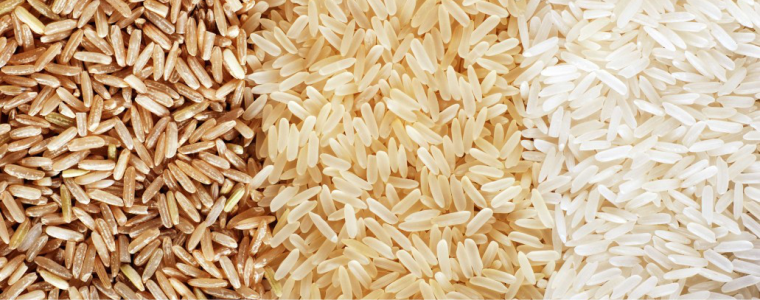 Em assembleia, ABIARROZ entrega pesquisa sobre o consumo de arroz 