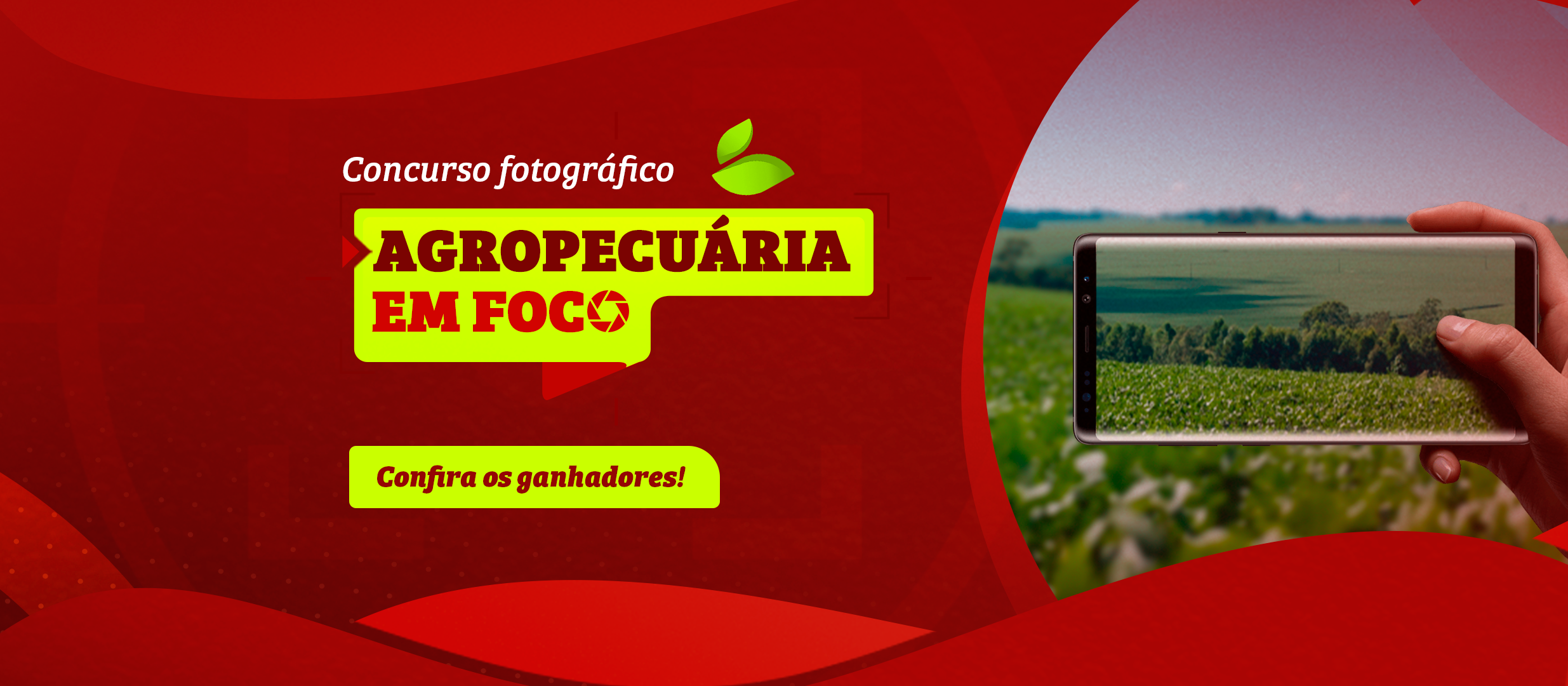 Conheça os premiados no I Concurso Fotográfico Agropecuária em Foco